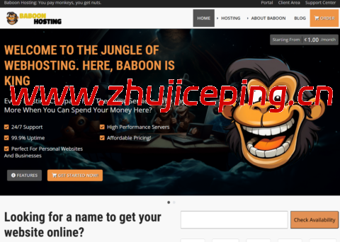 BaboonHosting:荷兰vps,1核/1GB/30GB SSD/4TB@5Gbps,€10.99/年-国外主机测评