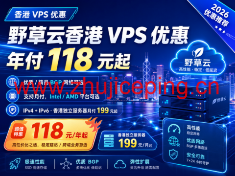 野草云香港 VPS 优惠：年付 118 元起，优质/精品 BGP 网络可选，独立服务器月付 199 元起-国外主机测评