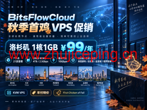 BitsFlowCloud 秋季首鸡 VPS 促销:洛杉矶1核1GB ¥99/年,7节点21款套餐-国外主机测评