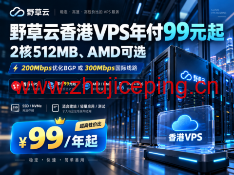 野草云香港VPS年付99元起:2核512MB、AMD可选,200Mbps优化BGP或300Mbps国际线路-国外主机测评